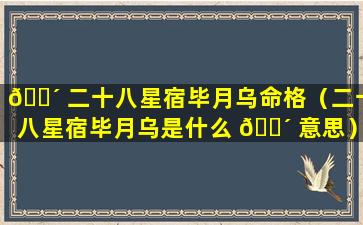 🌴 二十八星宿毕月乌命格（二十八星宿毕月乌是什么 🌴 意思）